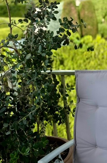 MRS PRIVATE TERRACE RELAX AND SUNBATHE